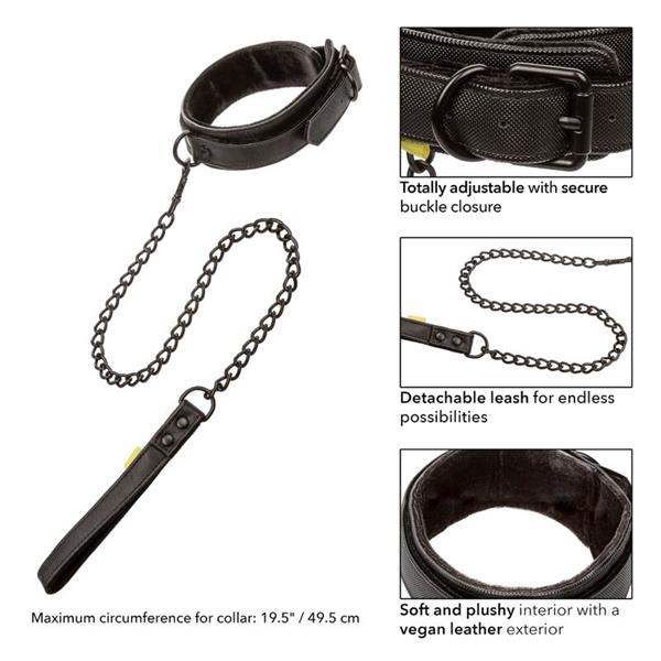 BOUNDLESS COLLAR AND LEASH