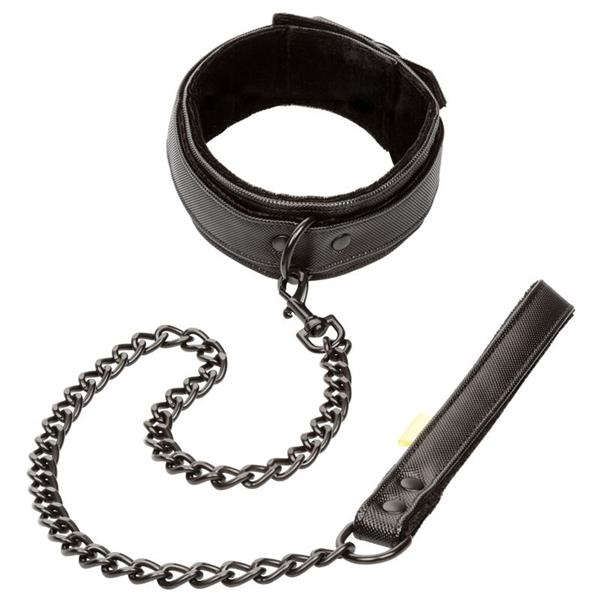 BOUNDLESS COLLAR AND LEASH