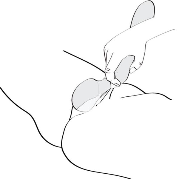 ZOA INTIMATE MASSAGER PINK