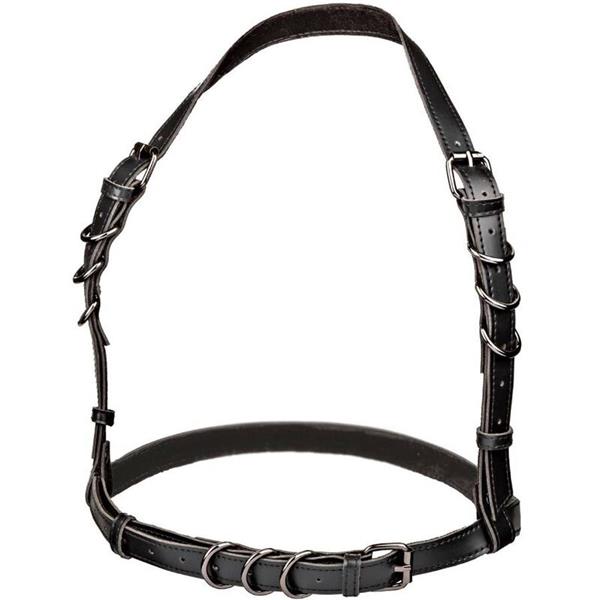 EUPHORIA HALTER BUCKLE HARNESS BLACK