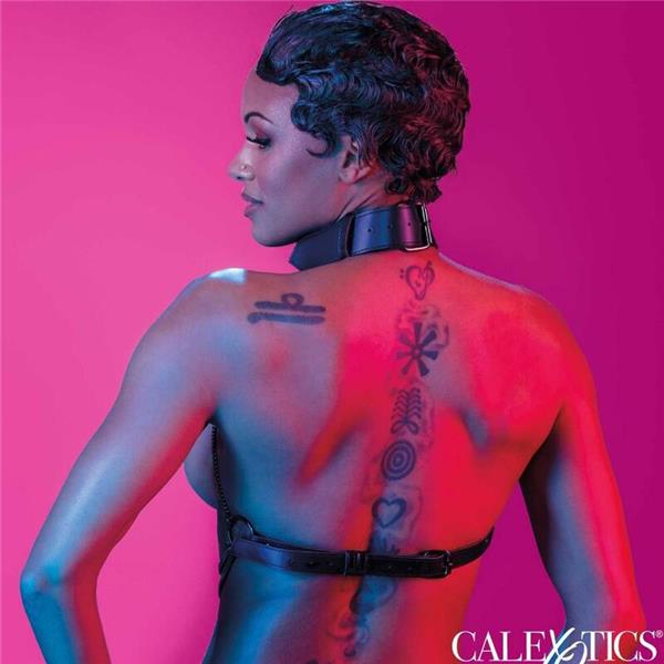 EUPHORIA MULTI CHAIN COLLAR HARNESS