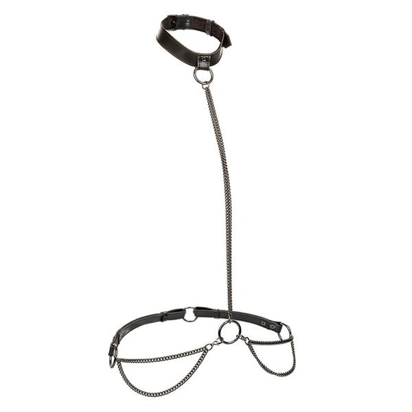 EUPHORIA CHAIN HALTER COLLAR & LEASH