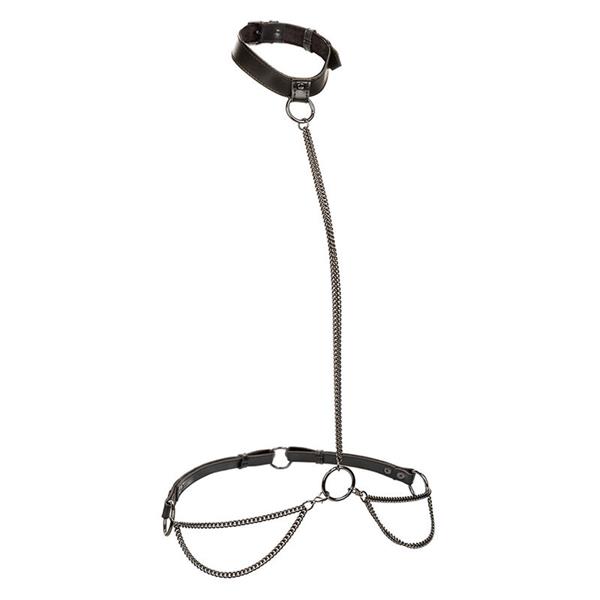 EUPHORIA CHAIN HALTER COLLAR & LEASH PLUS SIZE