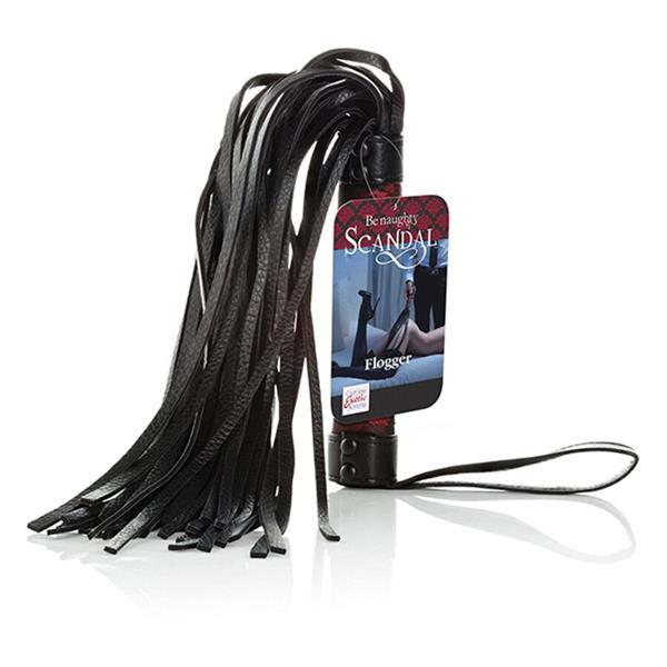 SCANDAL PLESALICA S OBEZBEZOM