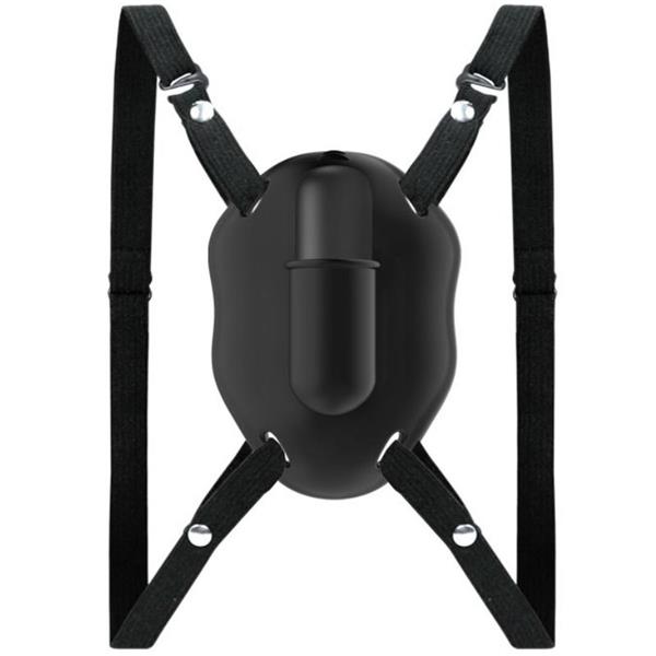 STRAP ON WITH CARTER VIBRATING BULLET