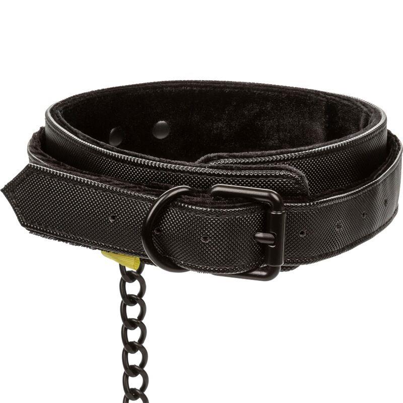 BOUNDLESS COLLAR AND LEASH