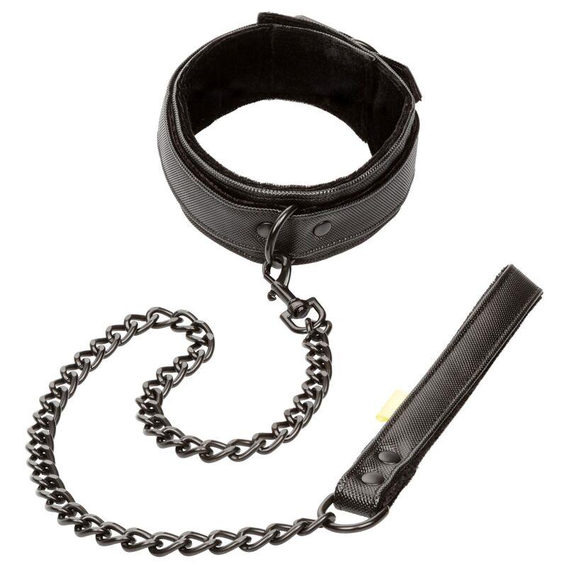 BOUNDLESS COLLAR AND LEASH