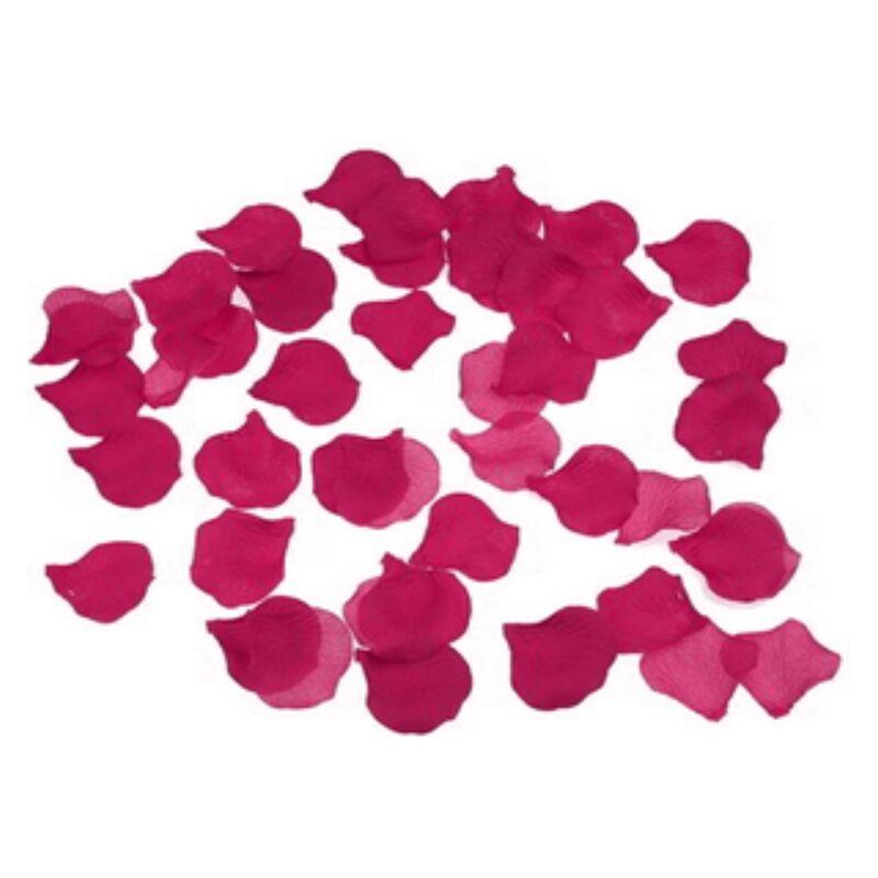 100 FUCHSIA PETALS