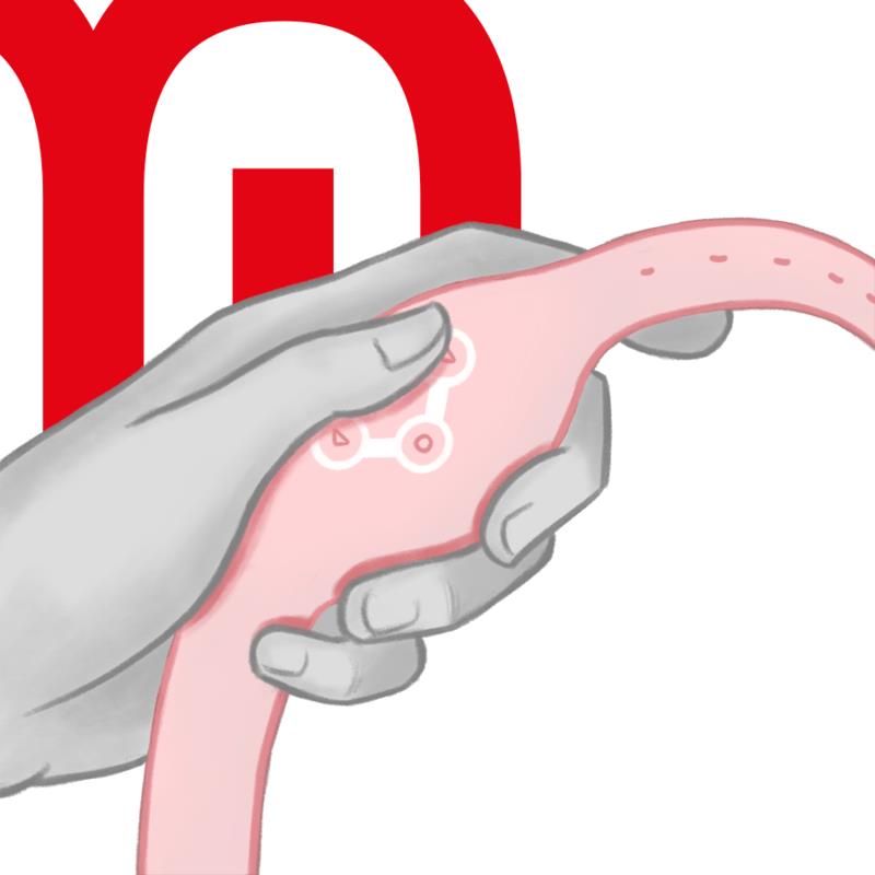 BEŽIČNI SAT MEKANA ROZA