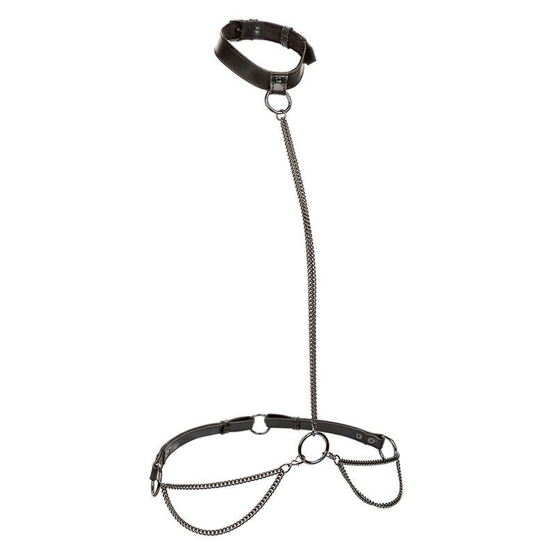 EUPHORIA CHAIN HALTER COLLAR & LEASH PLUS SIZE