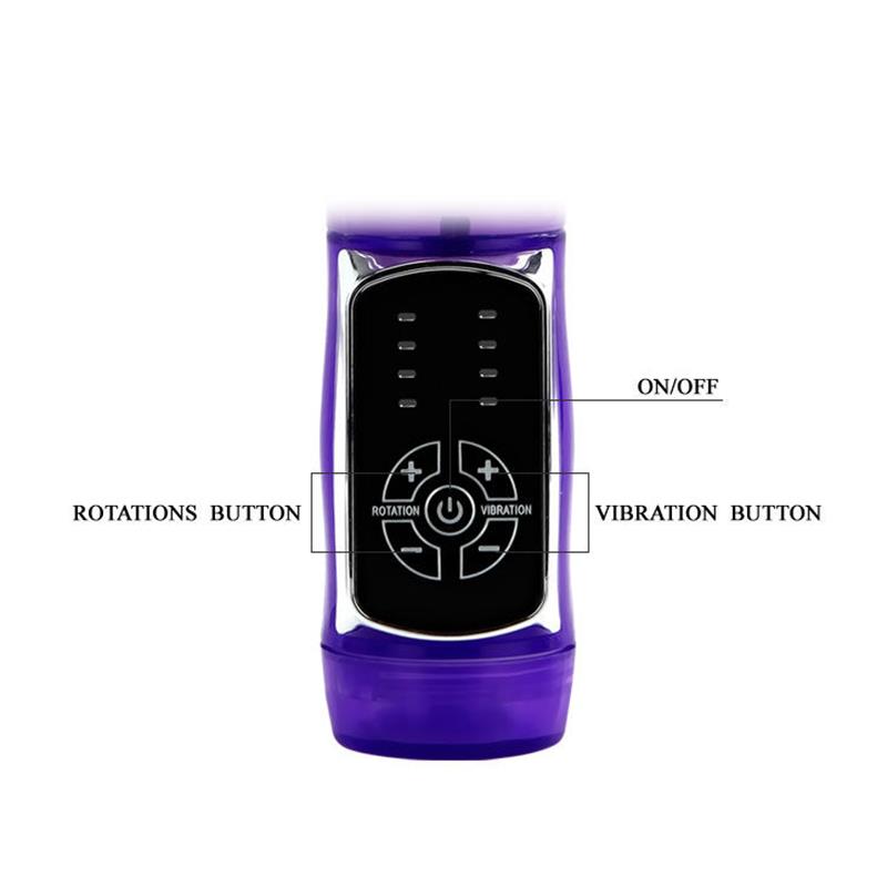 US RABBIT BUTTERF PRINCE