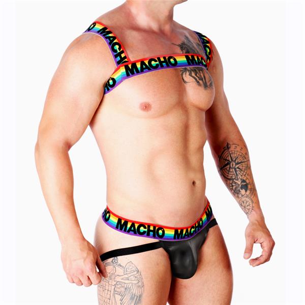 DVOJNA HARNESS PRIDE LIMITED