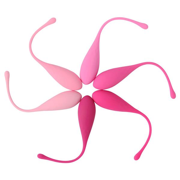 KEGEL FIT PELVIC MUSCLE TRAINING SET 6 WEIGHTS