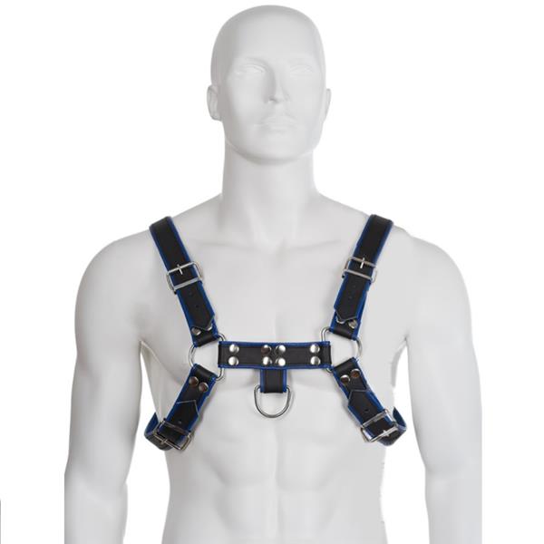 BLUE AND BLACK LEATHER HARNESS CHEST BULLDOG
