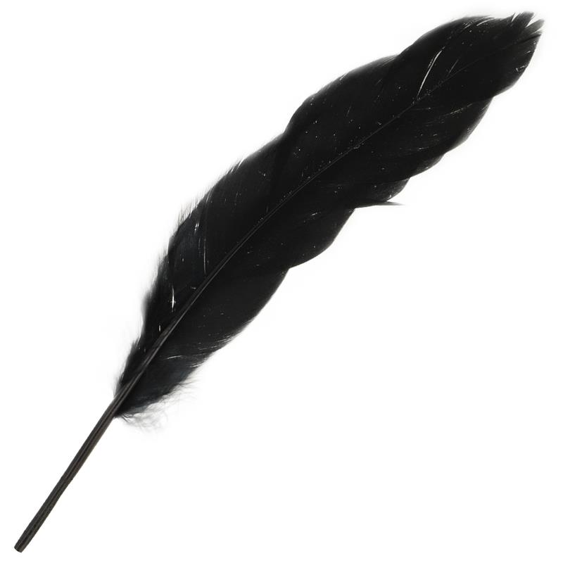 COUPLES SET NUMBER 3