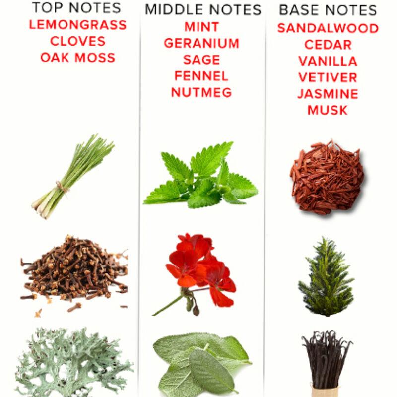 EOL PHEROMONE PARFUM 10 ML - ROMANTIC