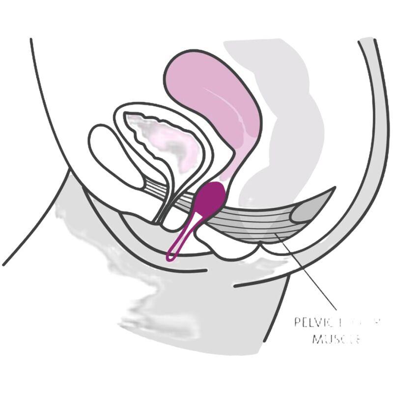 SMARTBALL UNO PELVIC BALL WHITE / PASTEL LILAC