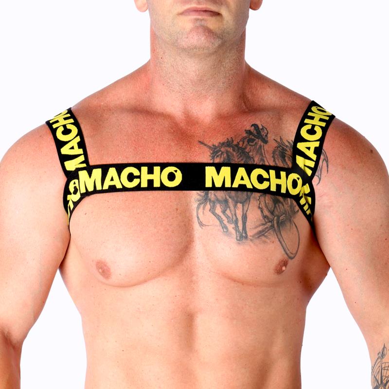 DOUBLE YELLOW HARNESS