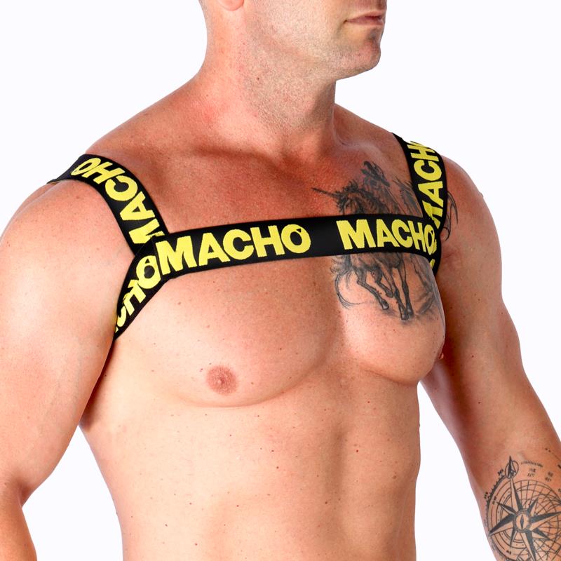 DOUBLE YELLOW HARNESS